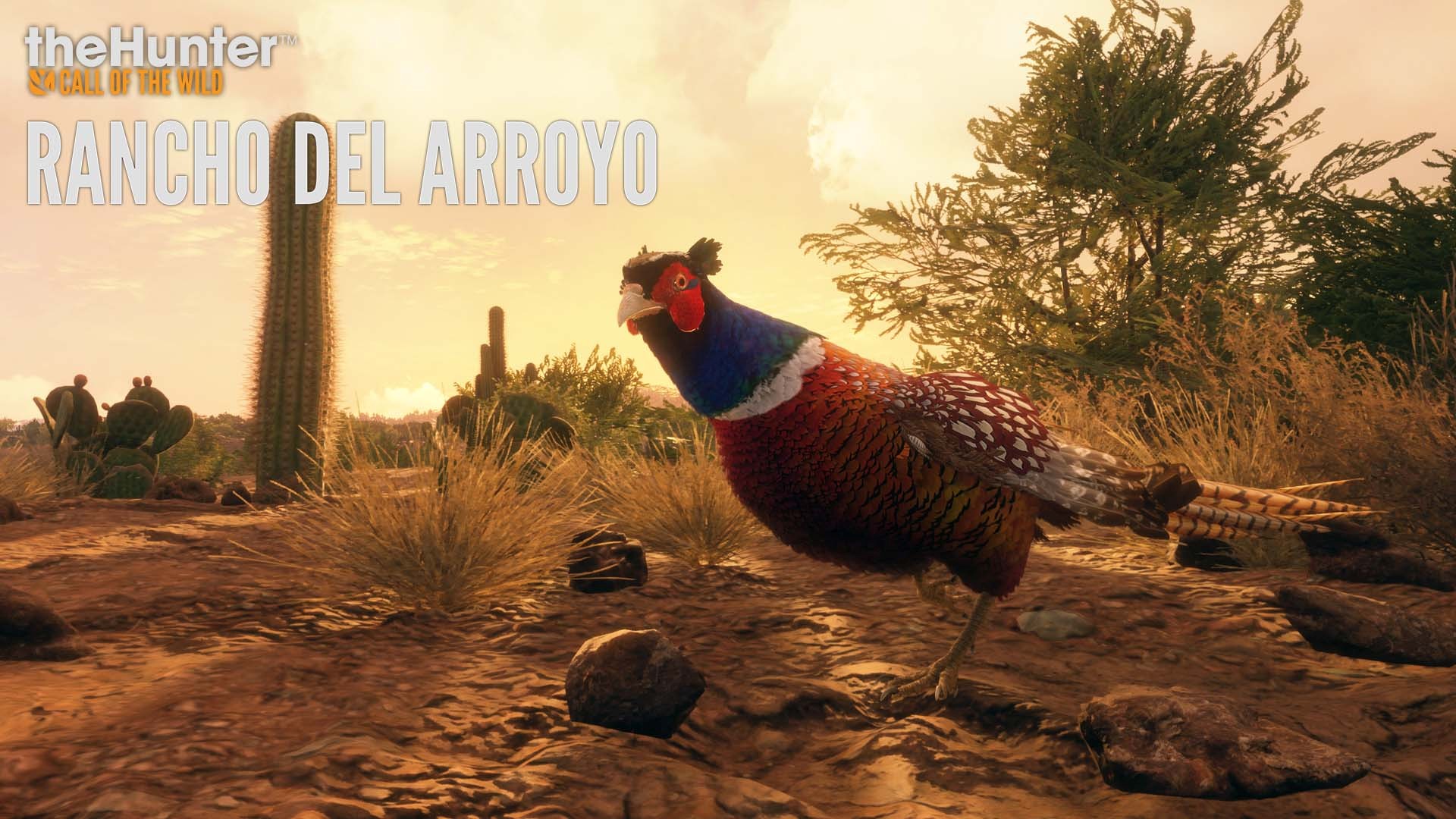 theHunter: Call of the Wild - Rancho Del Arroyo