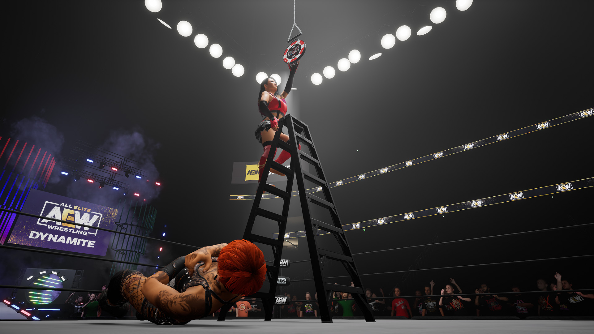 AEW Fight Forever Hero Image