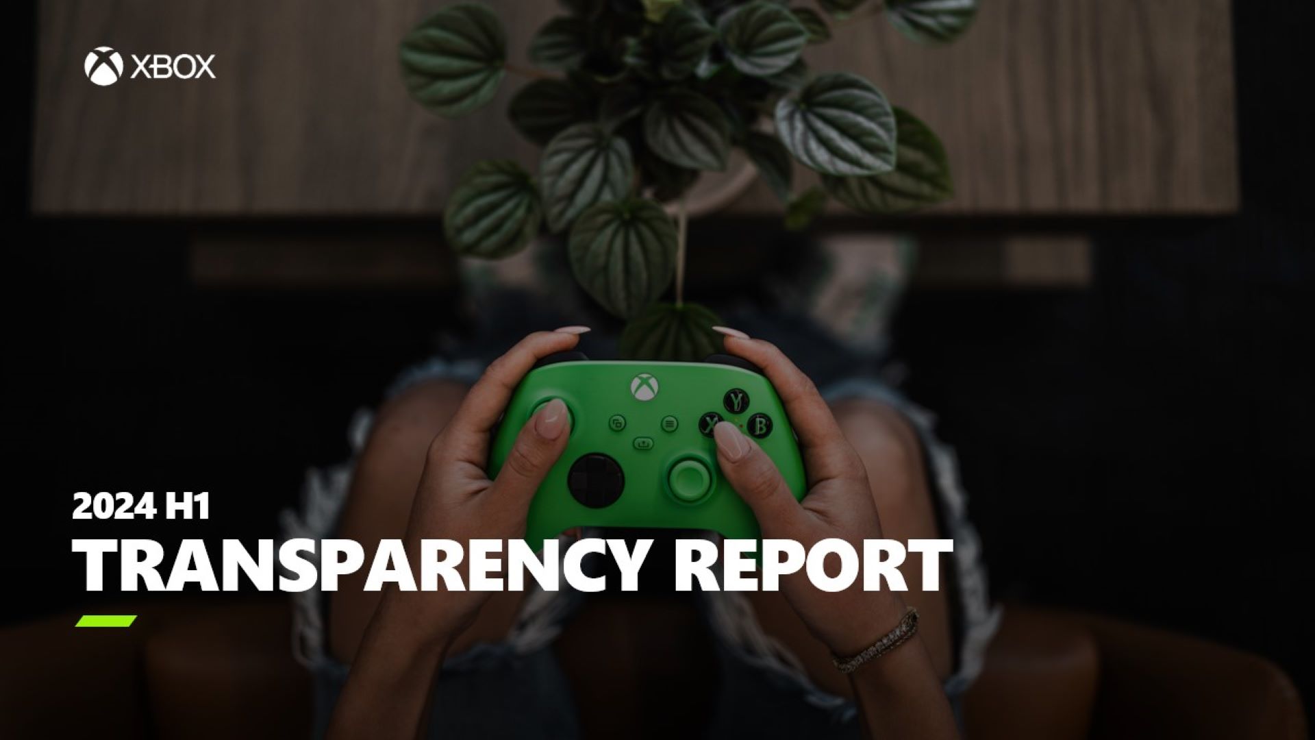 Fifth Transparency Report Hero Image