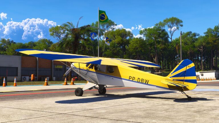 Local Legend 20: The CAP-4 Paulistinha Hero Image