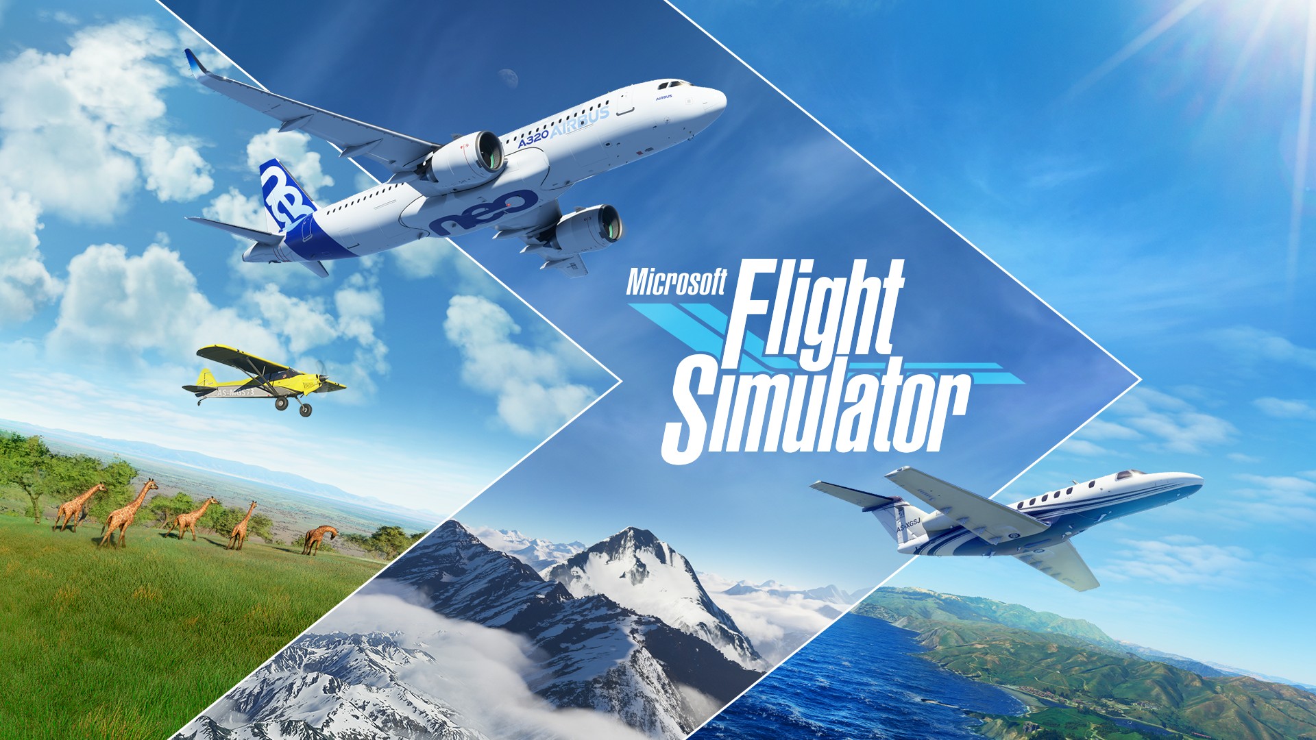 Microsoft Flight Sim: HERO